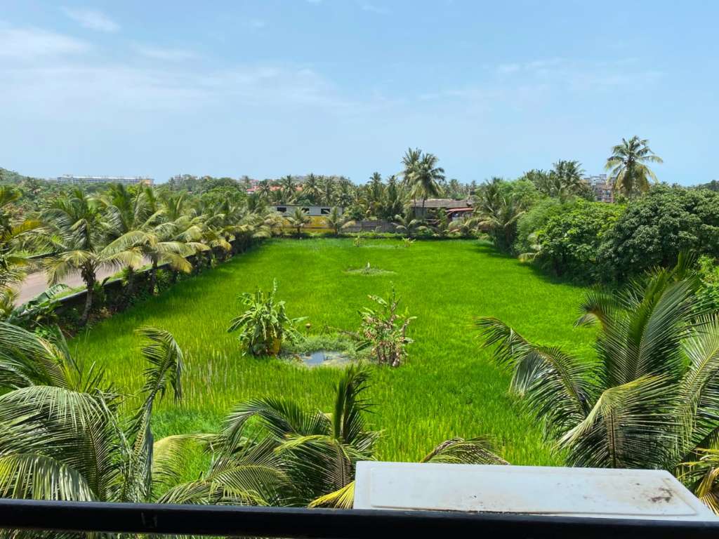 Spacious 2 BHK Apartment with 2 Covered Car Parking